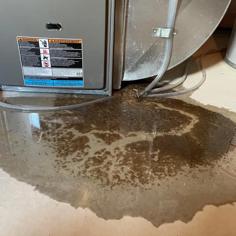 Appliance Leak Cleanup in Newport, ME